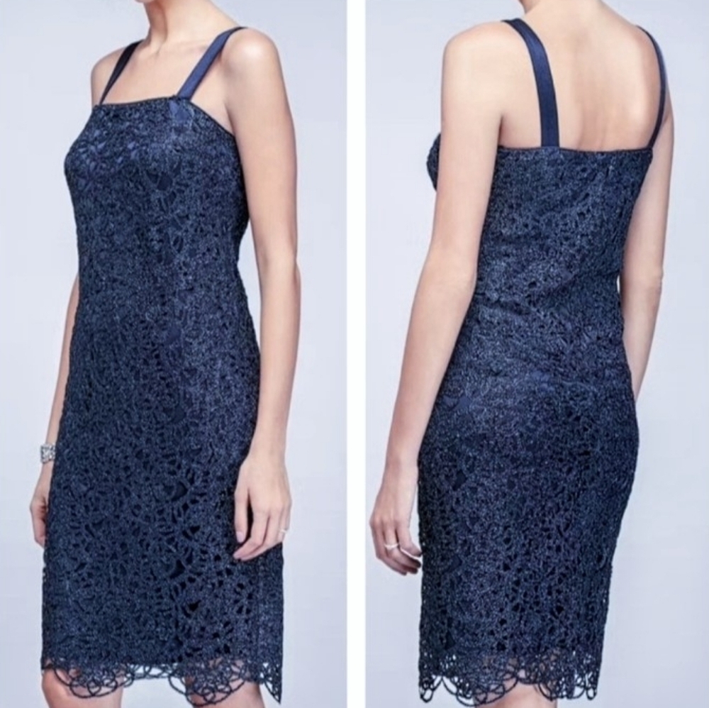 R&M Richards Midnight Lace Gown - Size 12